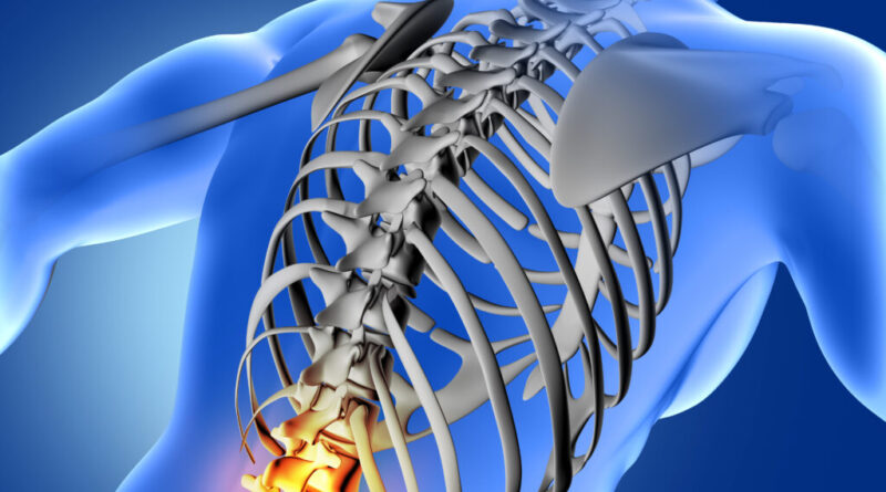 Jak zadbać o kręgosłup przy pracy siedzącej | Ergonomia kręgosłupa | Arangosite.pl