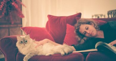 Dlaczego kot ignoruje właściciela