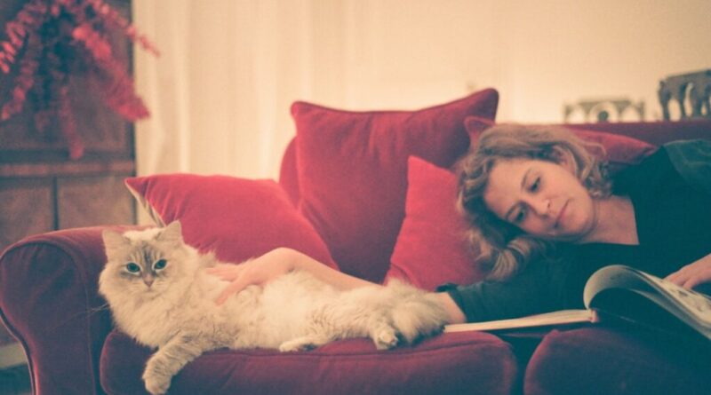 Dlaczego kot ignoruje właściciela